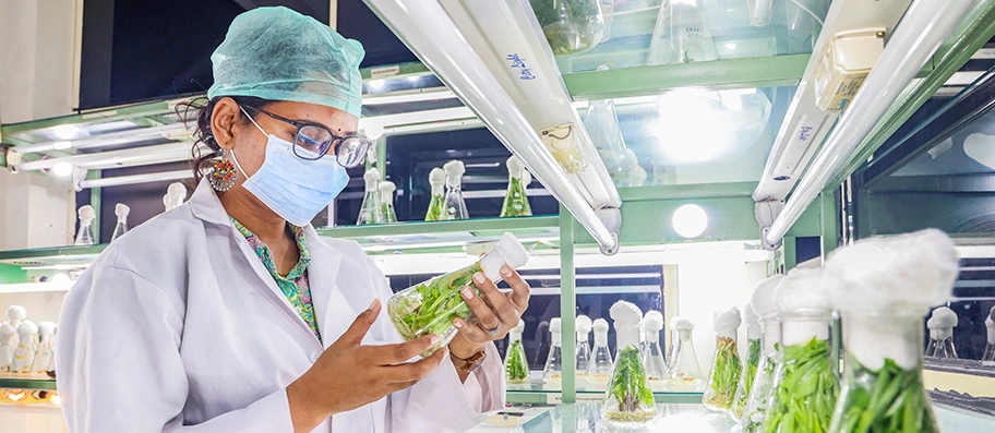 Graphic Era (Deemed to be University)