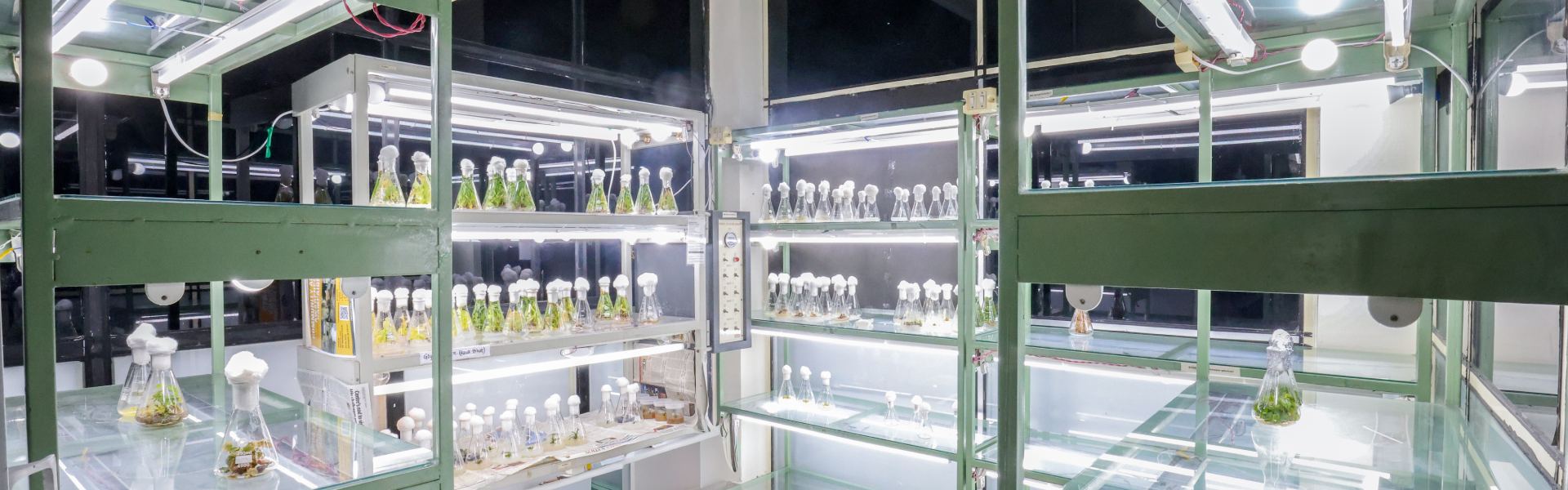 M.Tech in Biotechnology