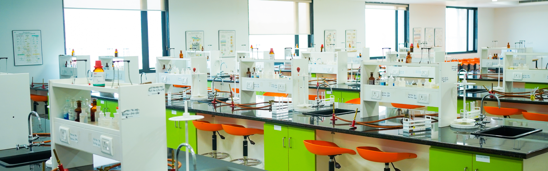 Bachelor of Medical Laboratory Technology (BMLT)