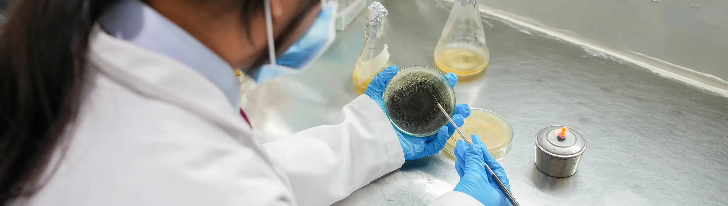 B.Sc Forensic Science