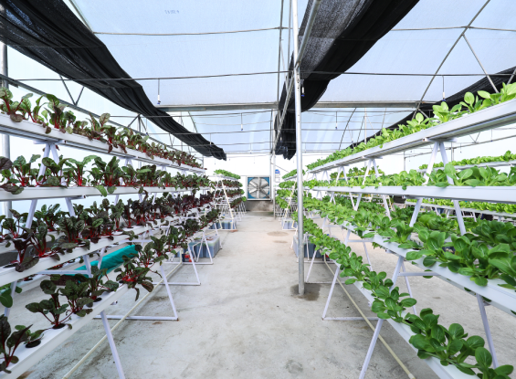 facility image